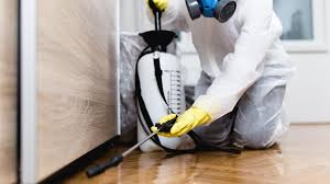 Best Real Estate Pest Inspections  in Sedona, AZ